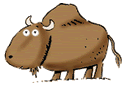 moo
