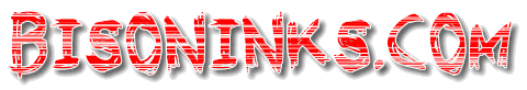 bisoninks.com
